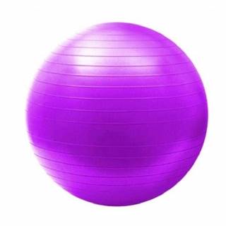 Gymnastický míč HMS YB02 65 cm fialový